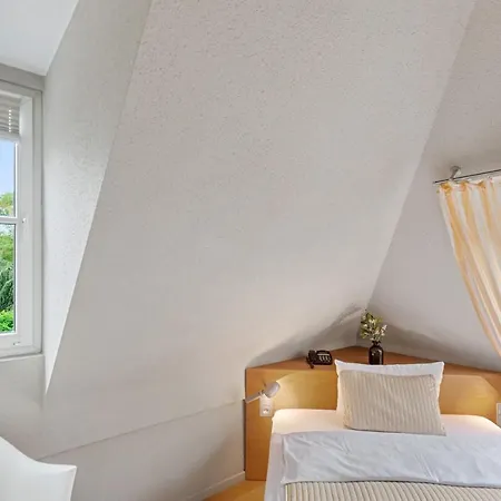 Hotel Rosengarten Zweibrücken